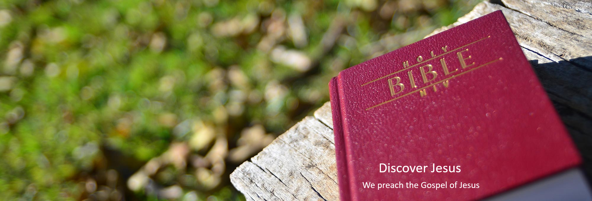 home-banner-bible
